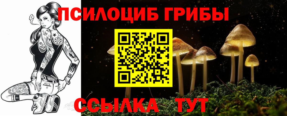 Галлюциногенные грибы Cubensis  Галлюциногенные грибы ЛСД  Вход с VPN  Краснознаменск 