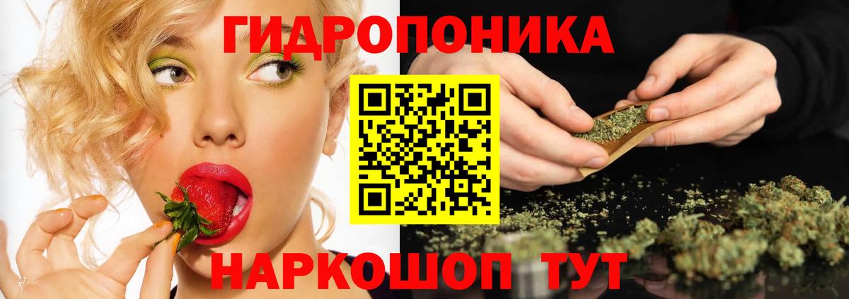 Канабис Amnesia  Бошки марихуана планчик  Бошки марихуана семена  Вход с VPN  Краснознаменск 